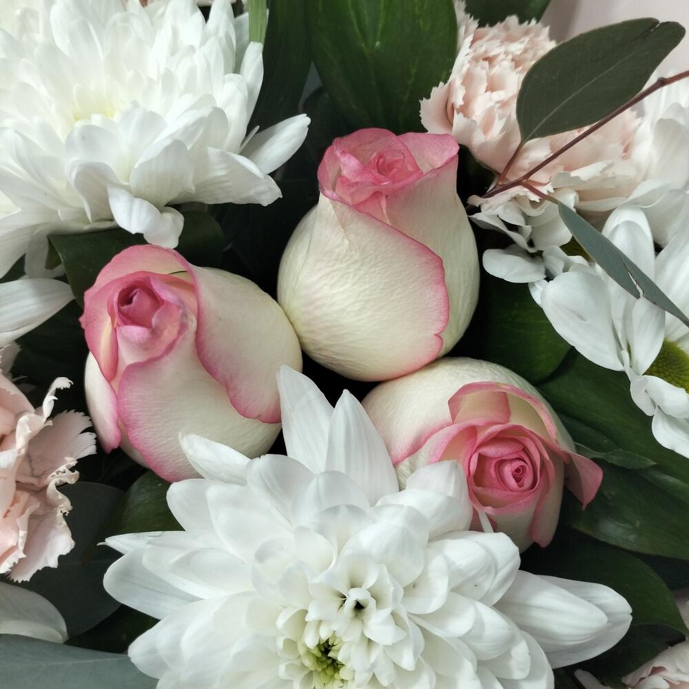 Нежность Нежность